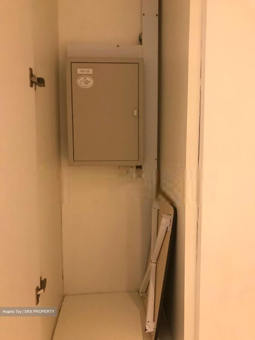 76 Shenton (D2), Apartment #403671321